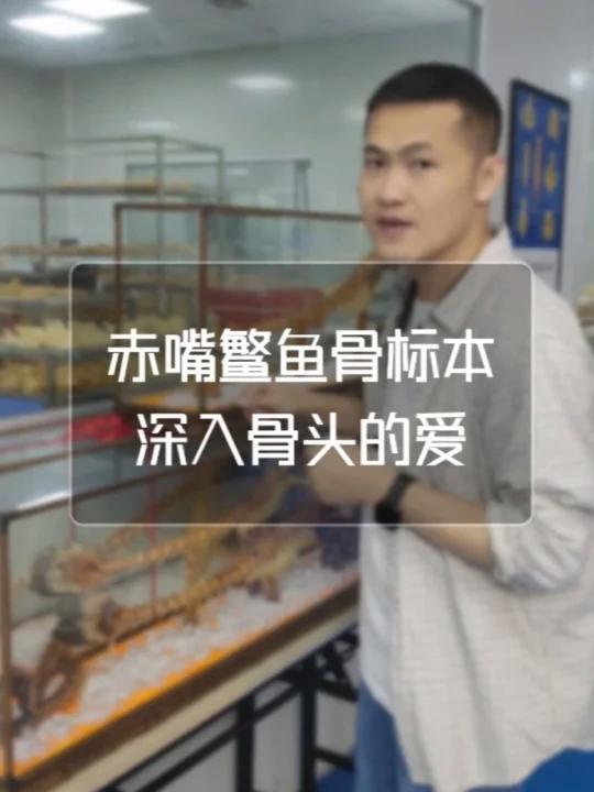 深入骨头的爱