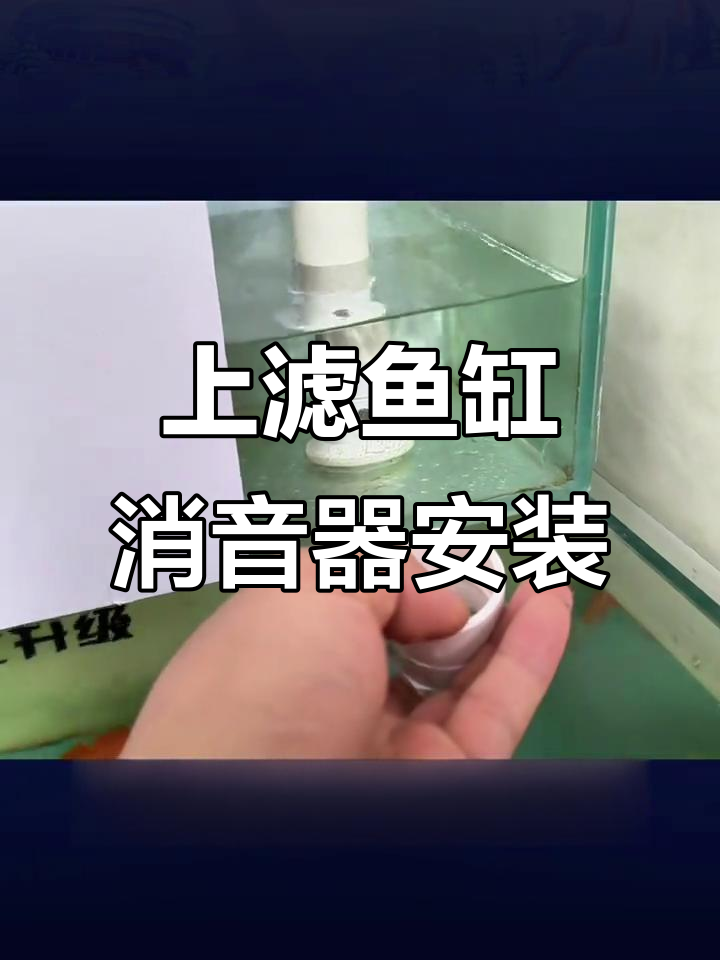 上滤鱼缸消音器安装全攻略,效果超乎想象