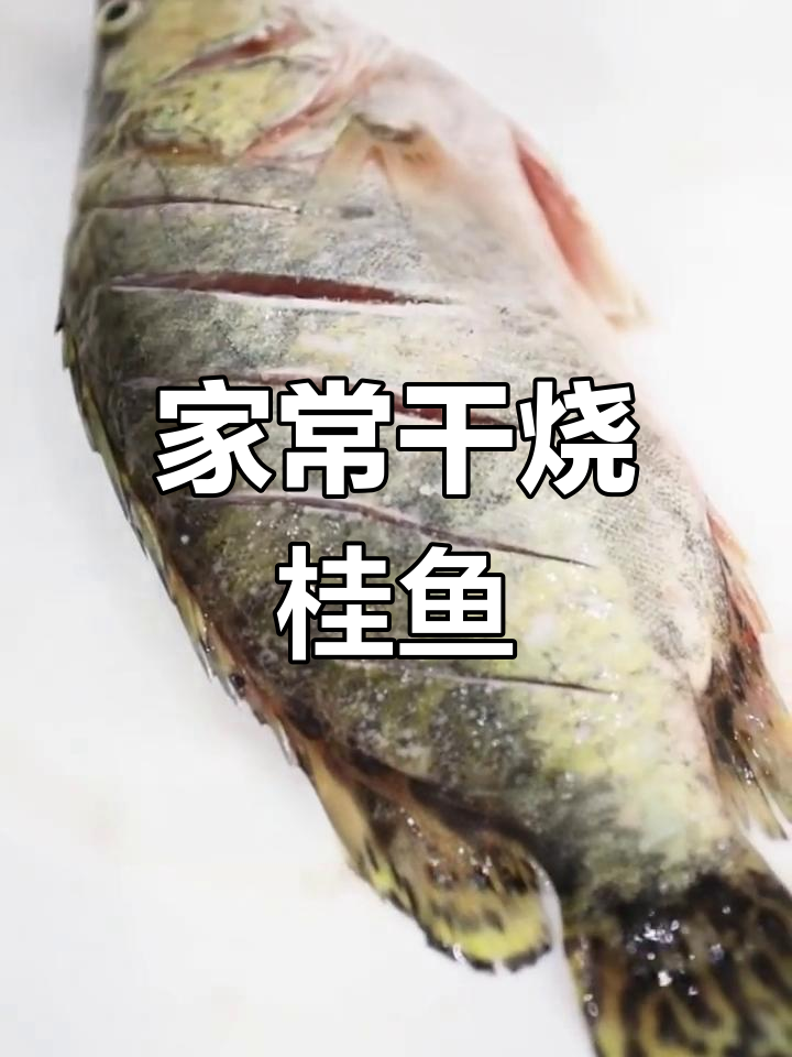 干烧桂鱼家常做法,川菜经典美味大揭秘