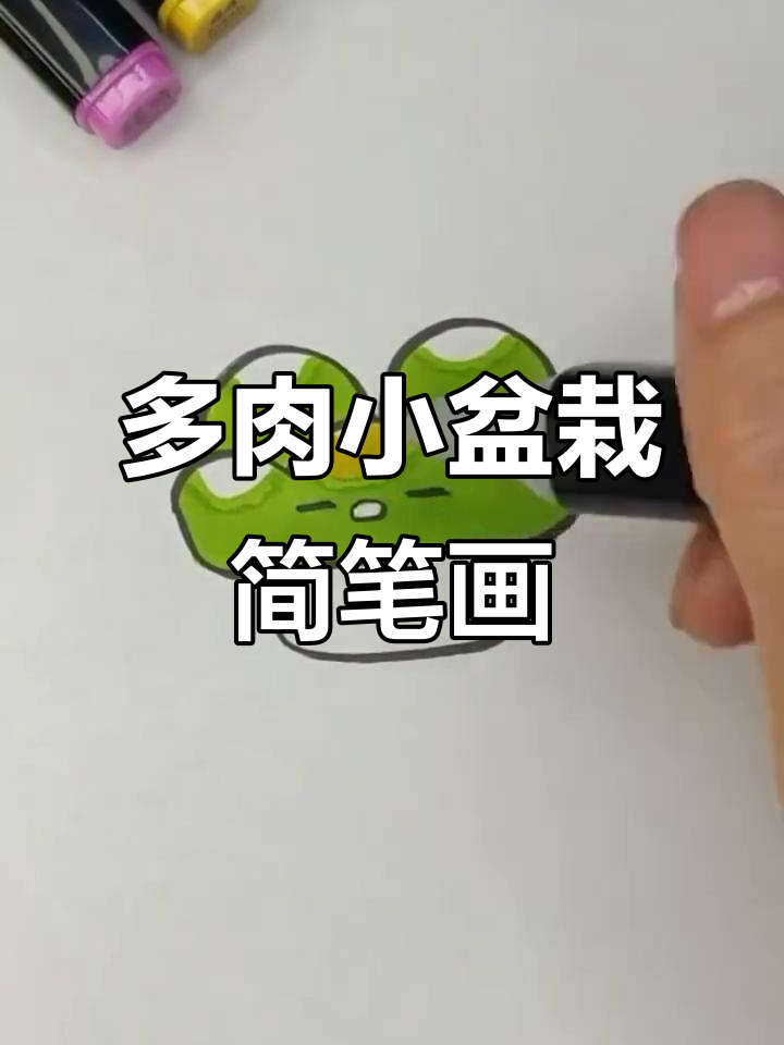 轻松画出可爱多肉植物,零基础也能学会