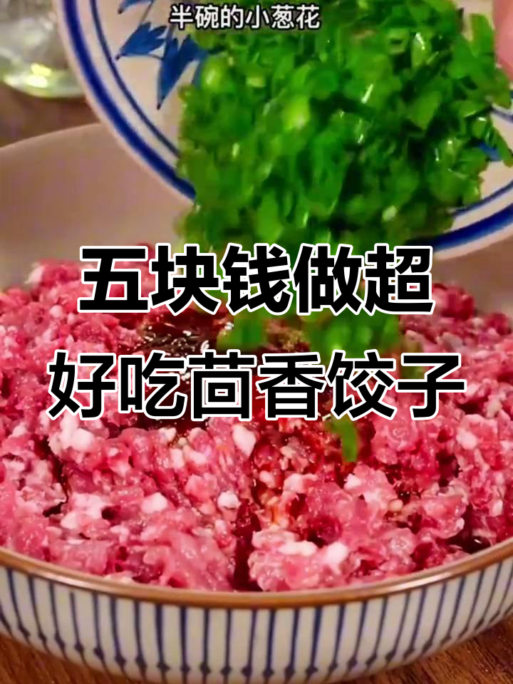 茴香肉饺子馅的完美做法,鲜嫩多汁又简单
