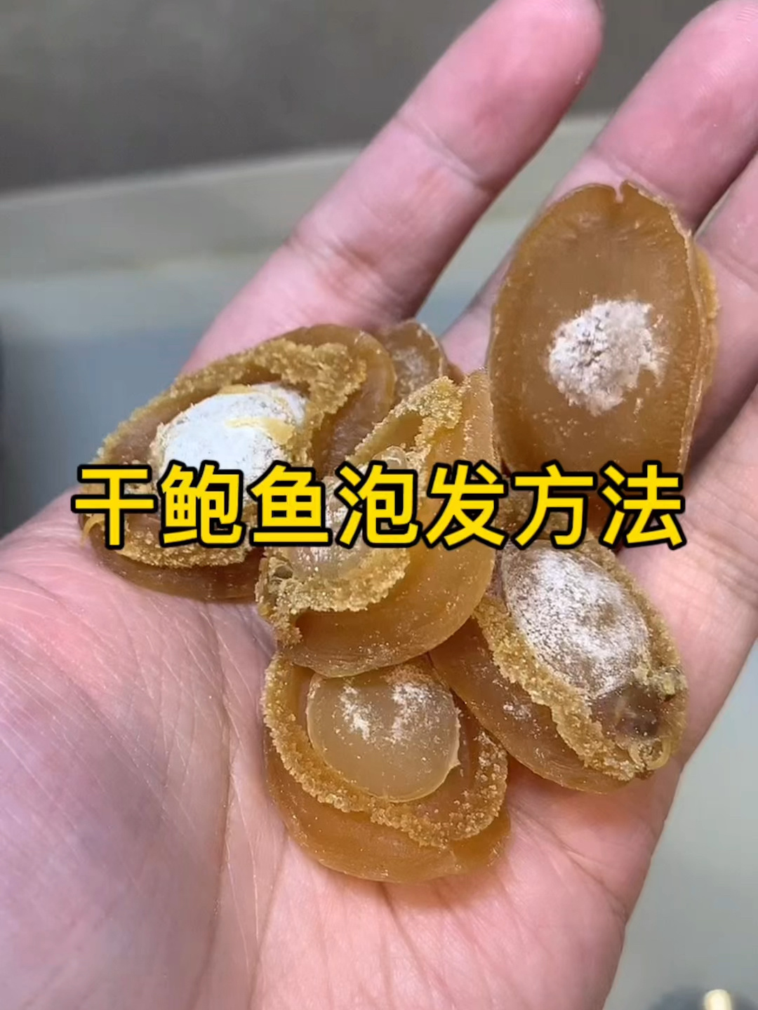 如何泡发干鲍鱼