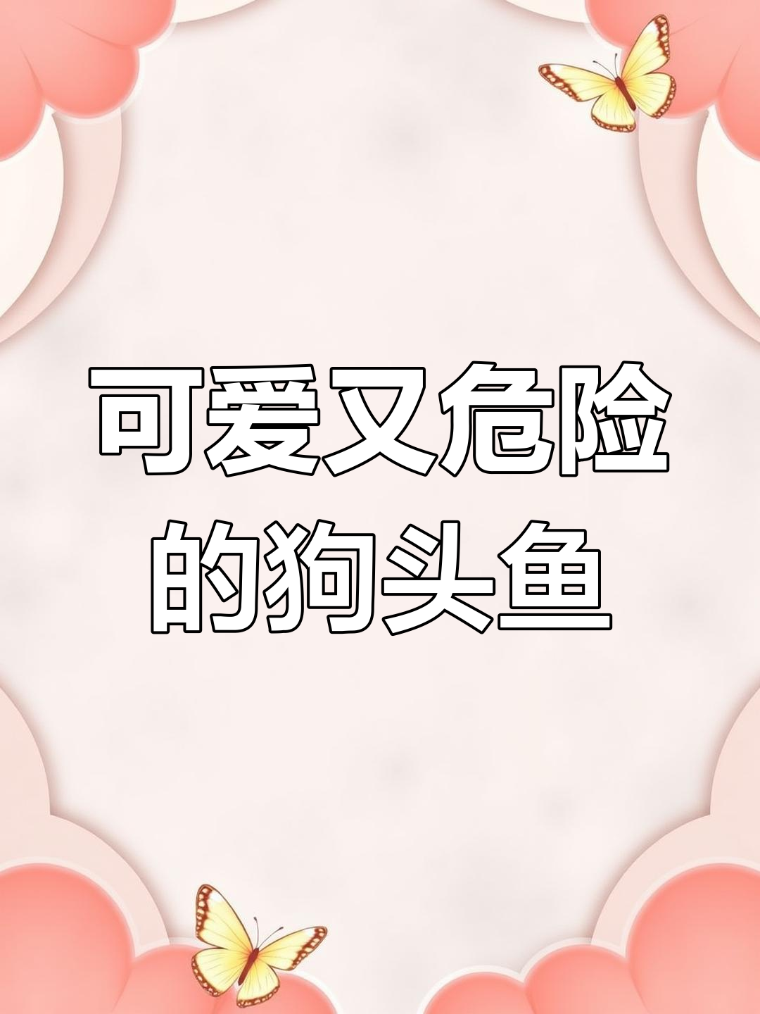 罗源湾海洋世界的“丑萌”新星:狗头鱼