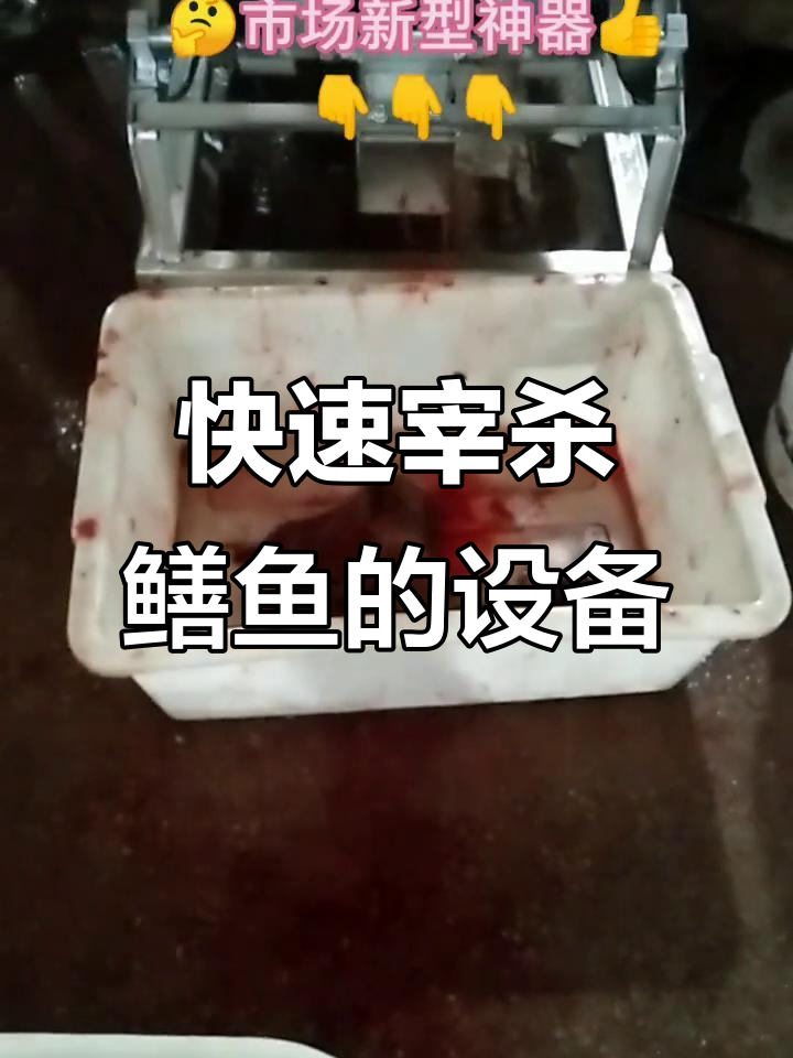 发现一台高效杀鳝鱼泥鳅机器,效果惊人