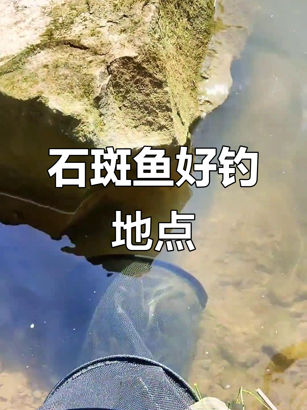 发现石斑鱼钓点,钓鱼人必看!