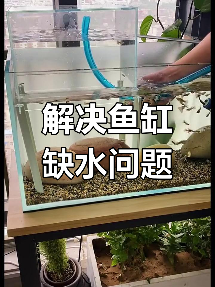 鱼缸水位下降怎么办?两种简单方法解决