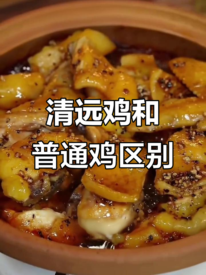 清远鸡与普通鸡肉质口感大不同,风味更胜一筹
