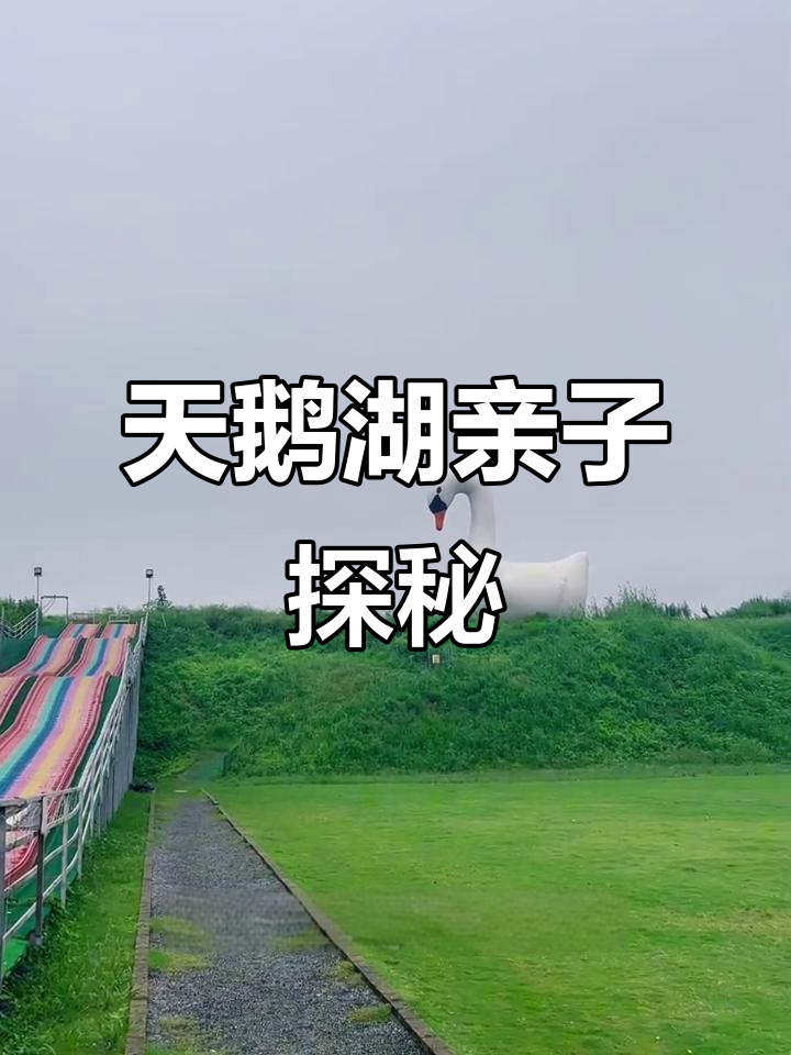 上海天鹅湖庄园亲子游,探险、喂孔雀超刺激!