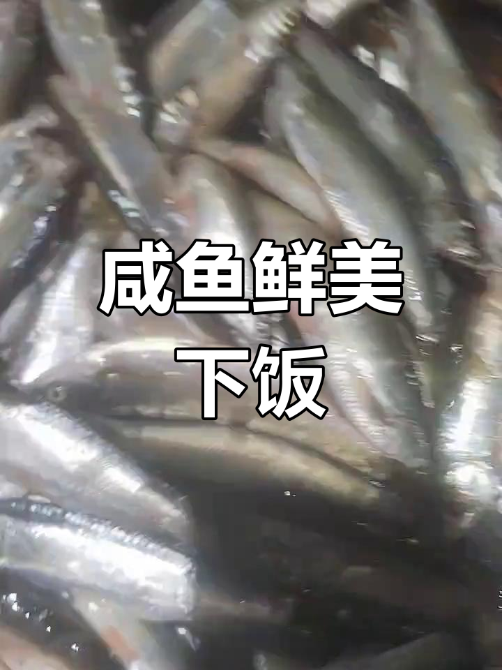 野生参鱼咸香美味,下饭必备!