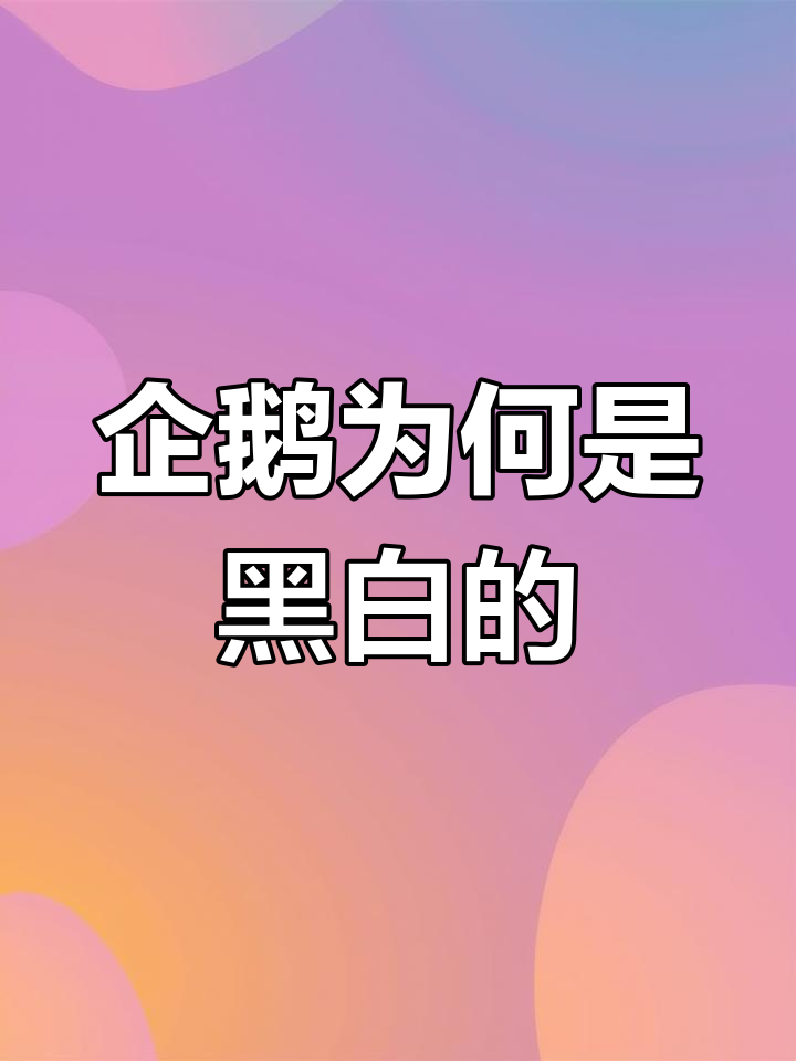 为什么企鹅是黑白相间的?揭秘它们的生存秘诀