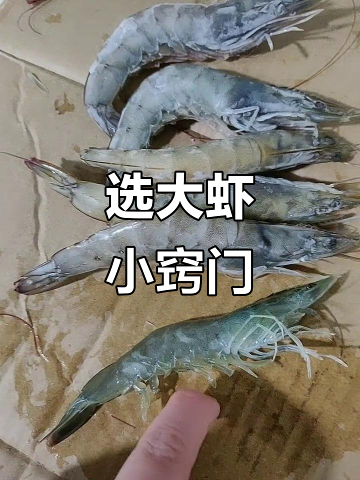 如何挑选新鲜大虾?教你辨别活虾与冻虾的区别