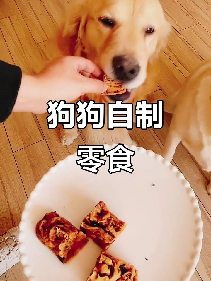 自制宠物沙琪玛,鸡肉蔬菜蛋黄搭配超美味