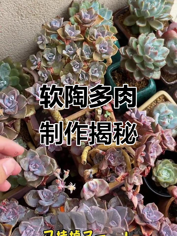 10天打造软陶多肉,细节满满超有趣!