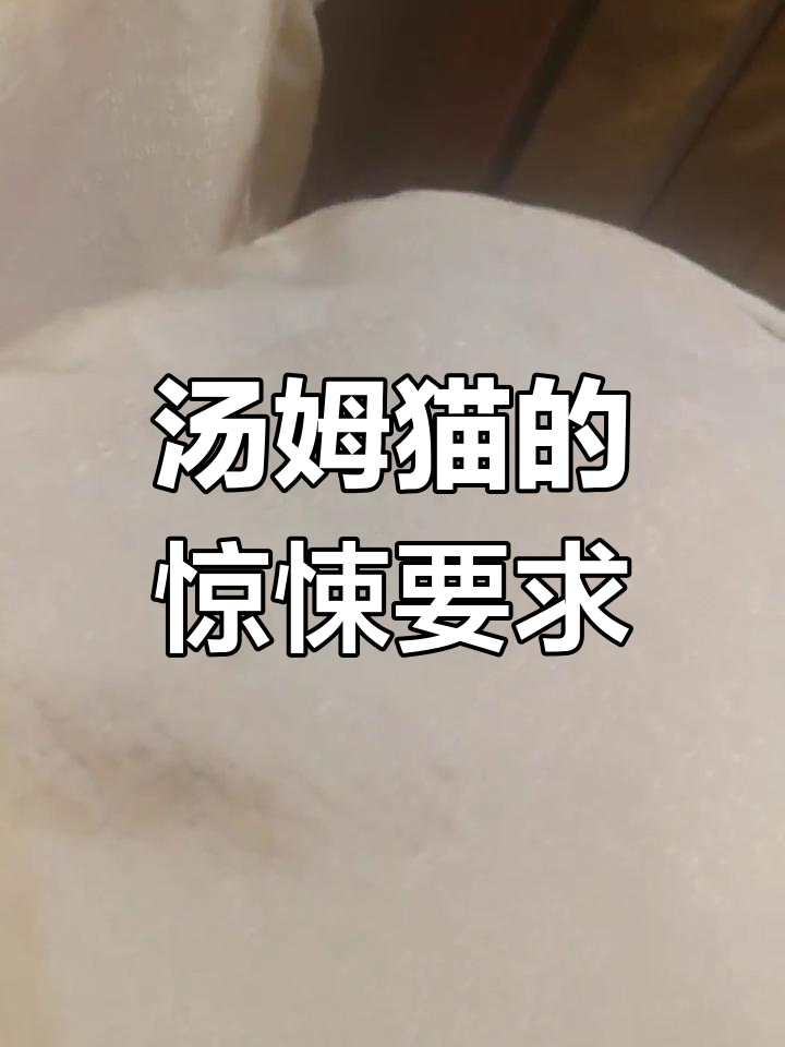 汤姆猫要钱不给,竟然威胁要杀我!