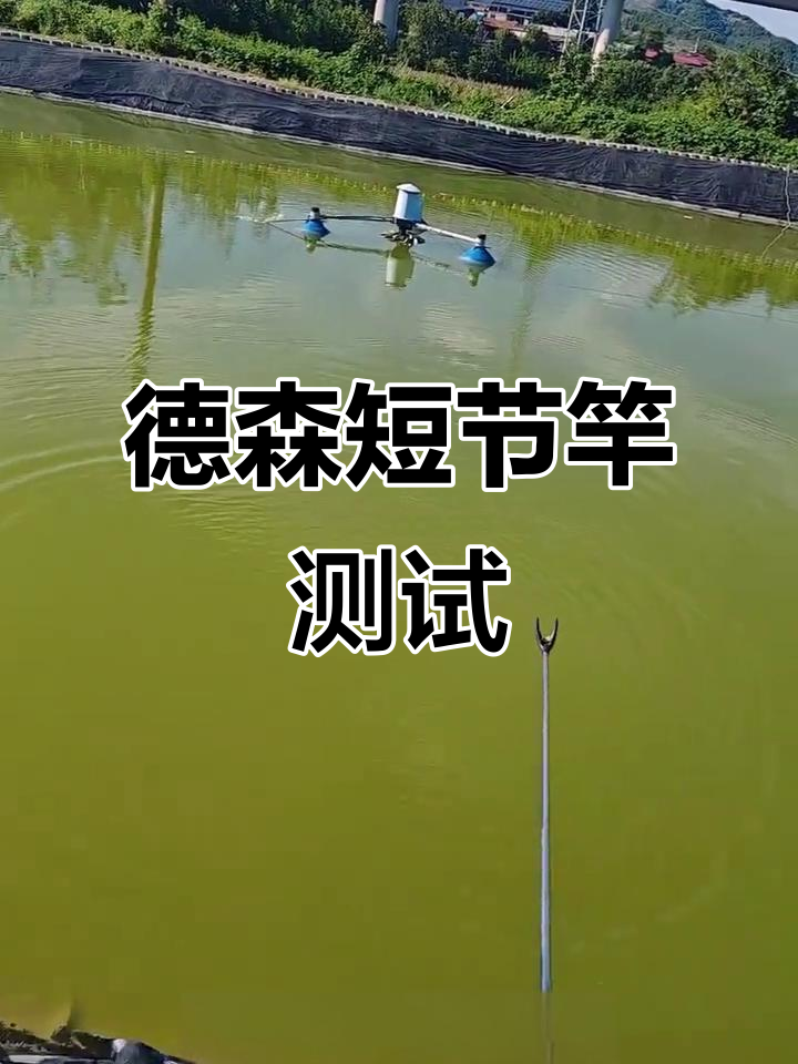 德森短节竿实战测评,四米五与五米四对比表现