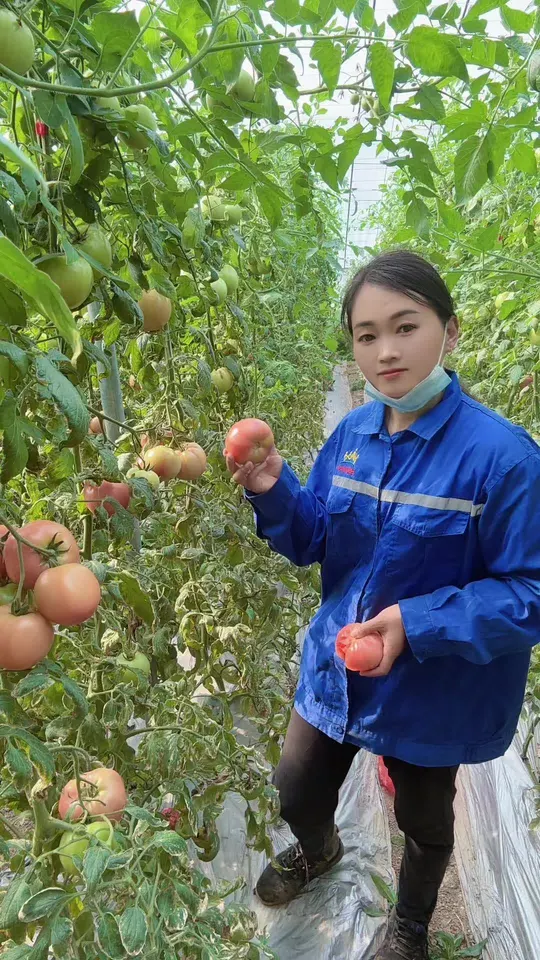 农村就是好!蔬菜种植基地绿色食品随手摘