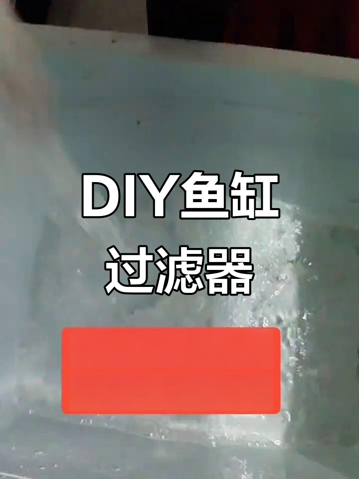 自制鱼缸过滤系统,轻松打造高效水循环