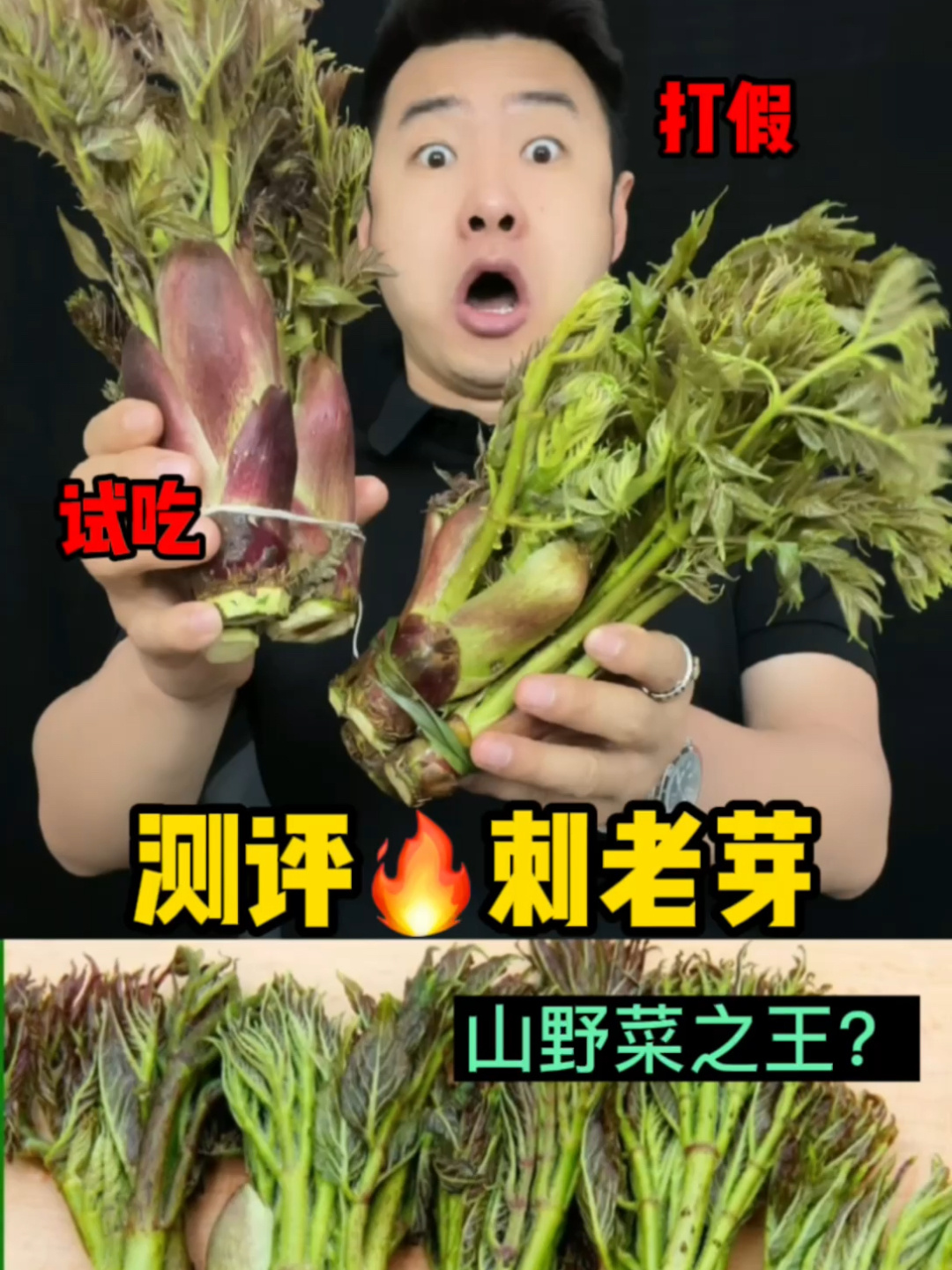 比香椿还要贵的野菜“刺老芽”真的好吃吗?