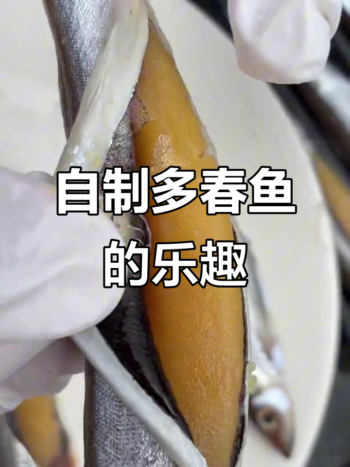 多春鱼，烧烤必备！自制更美味，鱼籽满满超赞