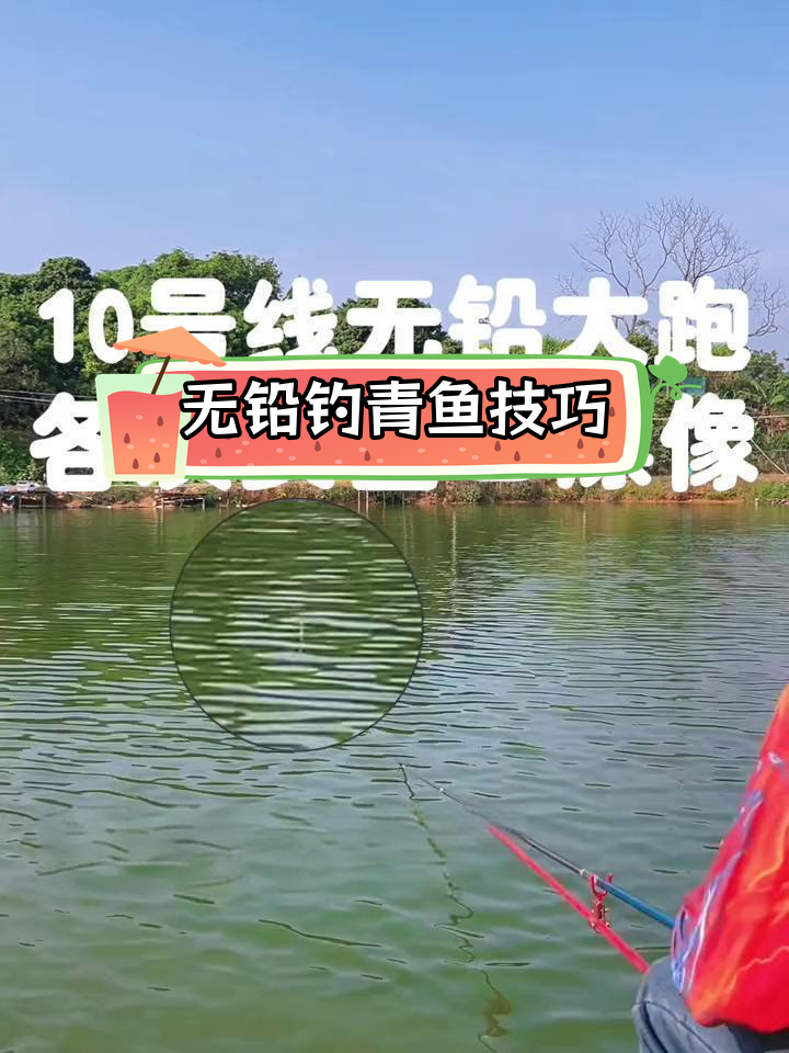 冬季青鱼无铅钓法,轻松应对20斤大物