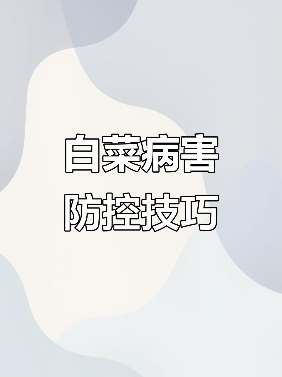 白菜常见病害防治全攻略,轻松应对各种问题