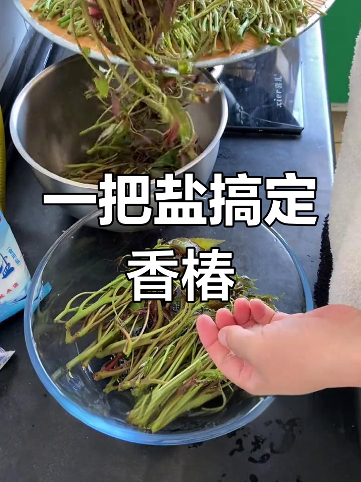 盐腌香椿芽,轻松做出美味