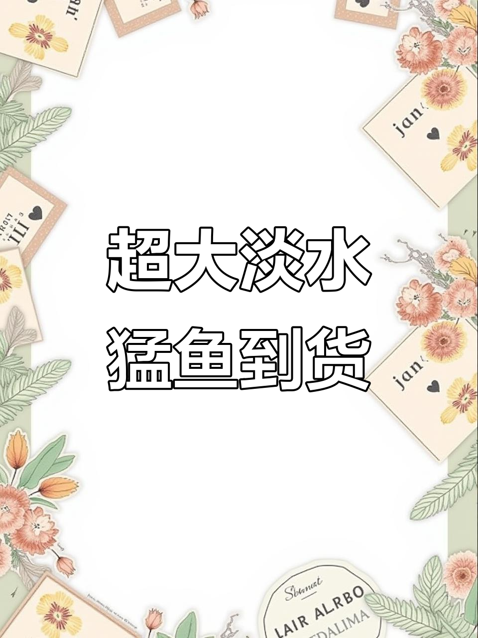 淡水巨骨蛇鱼来袭,30厘米猛鱼强势入缸!