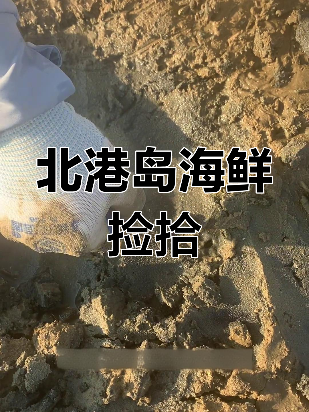 海南海口北港岛赶海,皮皮虾和螃蟹大丰收