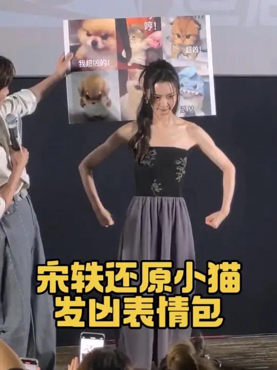 宋轶还原小猫发凶表情包