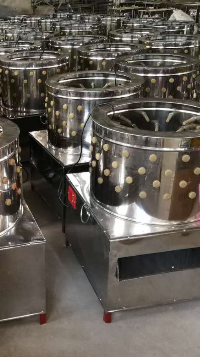 小型鸡鸭脱毛机全自动老母鸡脱毛机不锈钢脱毛机器圆筒型家禽脱毛