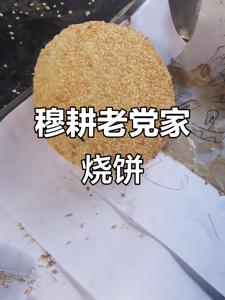 葱香牛肉烧饼刚出炉，外焦里嫩，满口满足