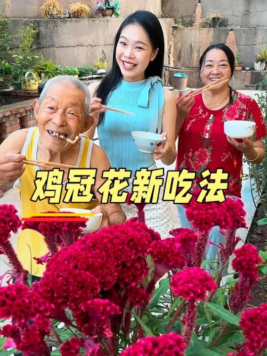 你吃过鸡冠花吗?吃货的国庆美食清单 向世界安利中国丰收味