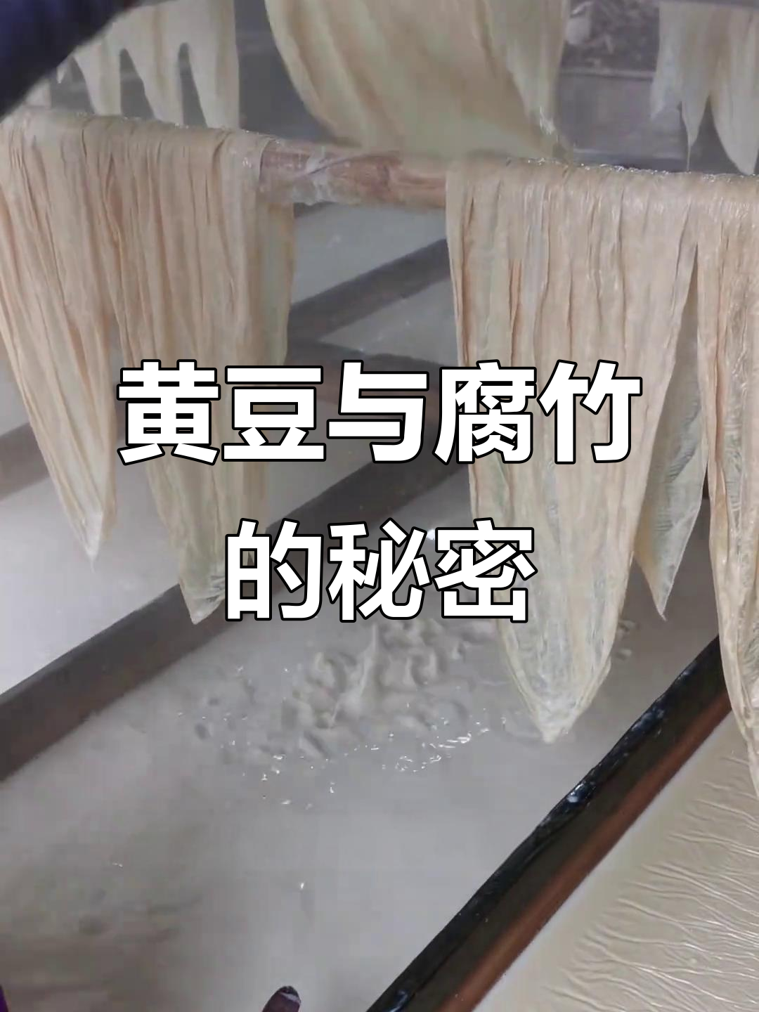 本地黄豆产腐竹,五十斤算高产量,品种差异影响结果