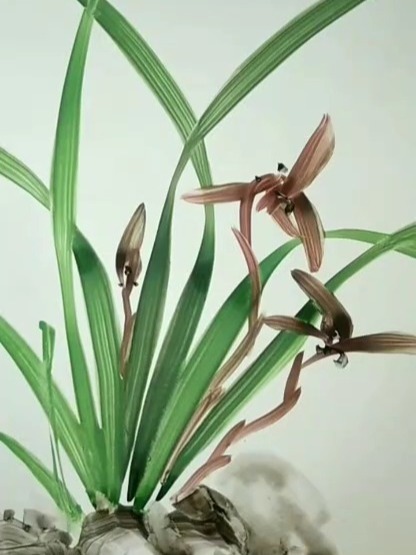 国画兰花