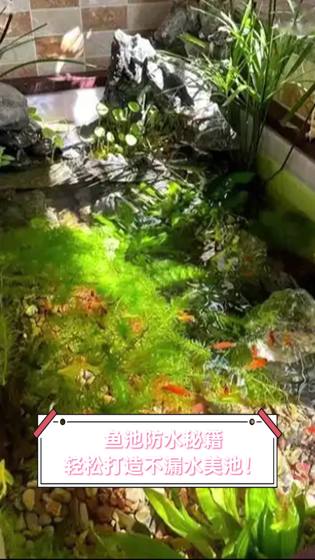 鱼池防水秘籍,轻松打造不漏水美池!