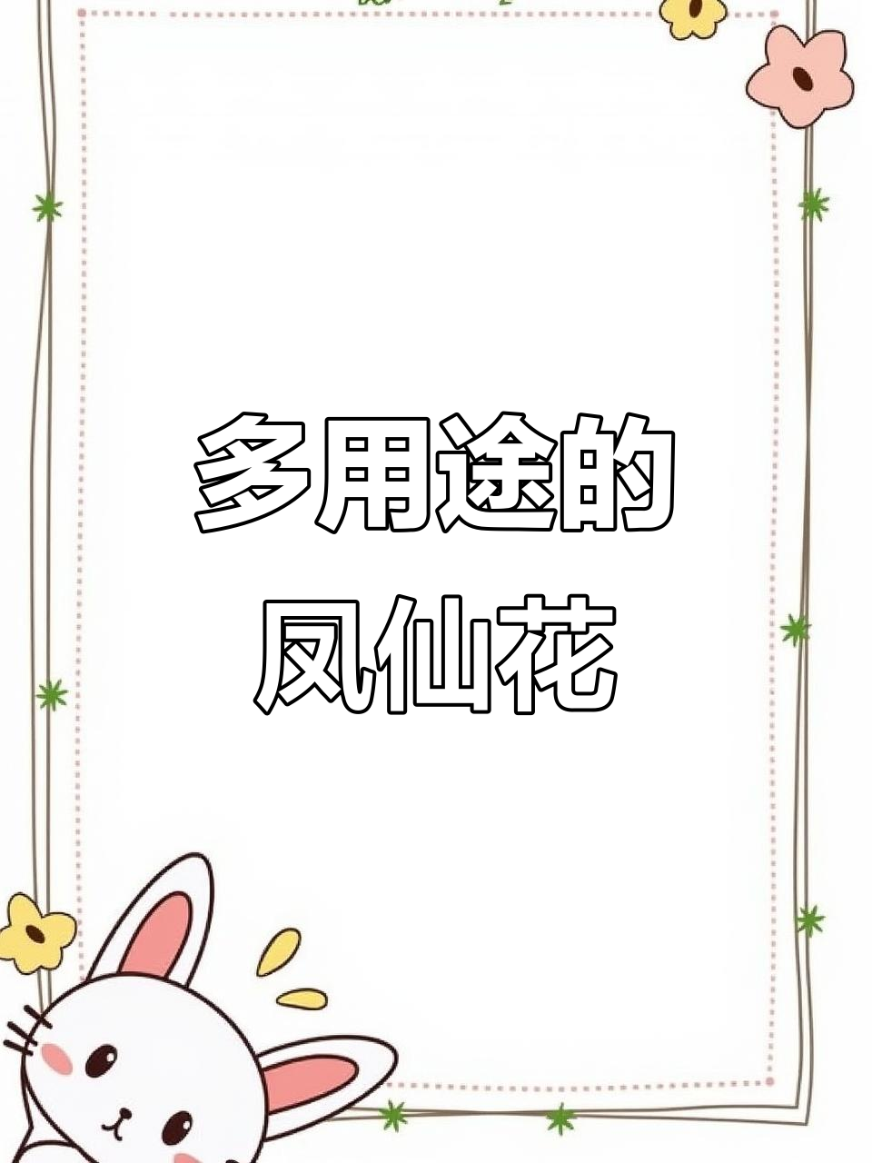 凤仙花:从指甲染料到药用,甚至腌制蔬菜的秘密