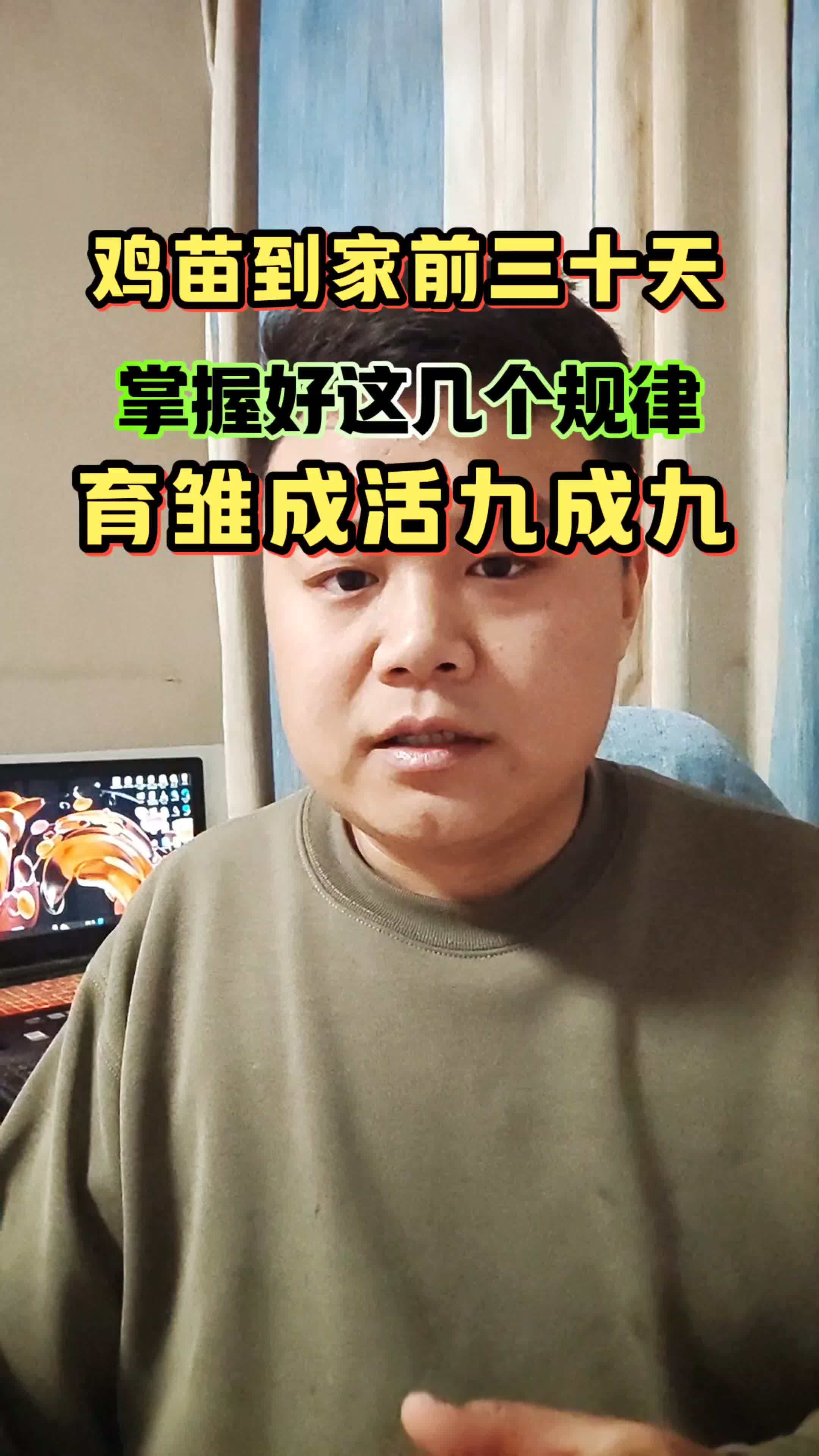 生态散养土鸡 养鸡 养鸡人 养鸡技术 散养土鸡