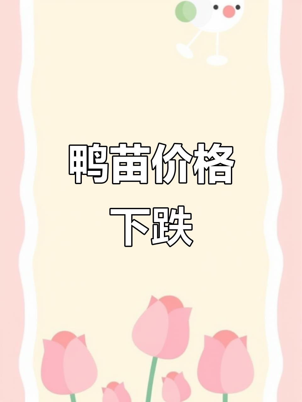 白羽肉鸭苗价格局部下调,市场波动分析