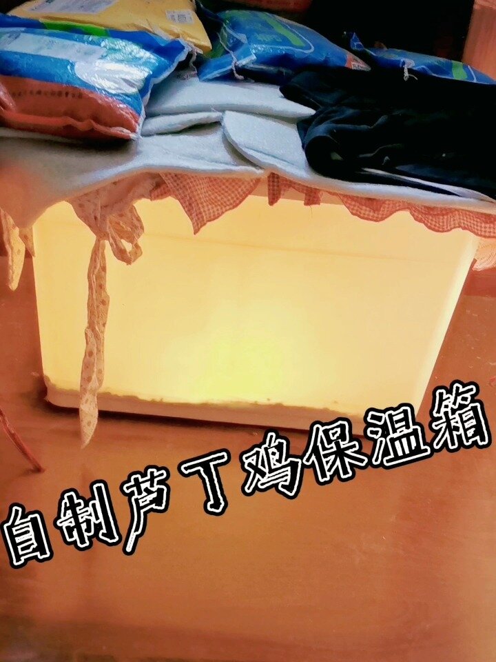 育雏芦丁鸡零死亡的经验-自制保温箱