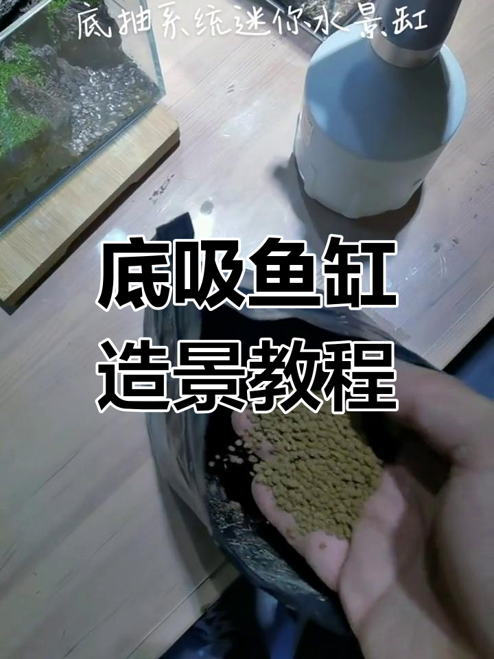 底吸鱼缸造景全攻略:火山石、水草泥与小沉木搭配技巧