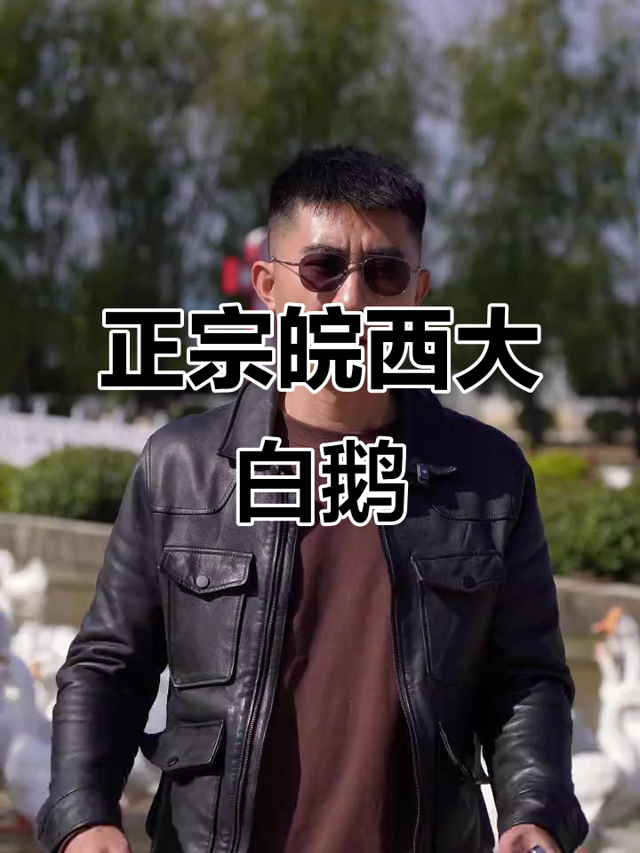 皖西大白鹅,家乡的味道送到餐桌