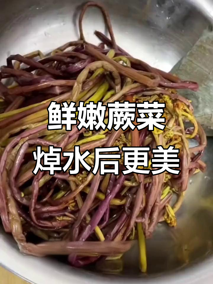 春天味道十足,蕨菜脆嫩爽口,凉拌炒火锅都超美味