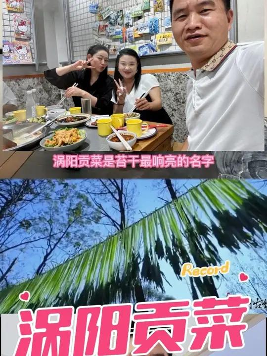 涡阳地理标志产品贡菜苔干 都有哪些好听的名字,响菜,无忧草,翡翠绿等