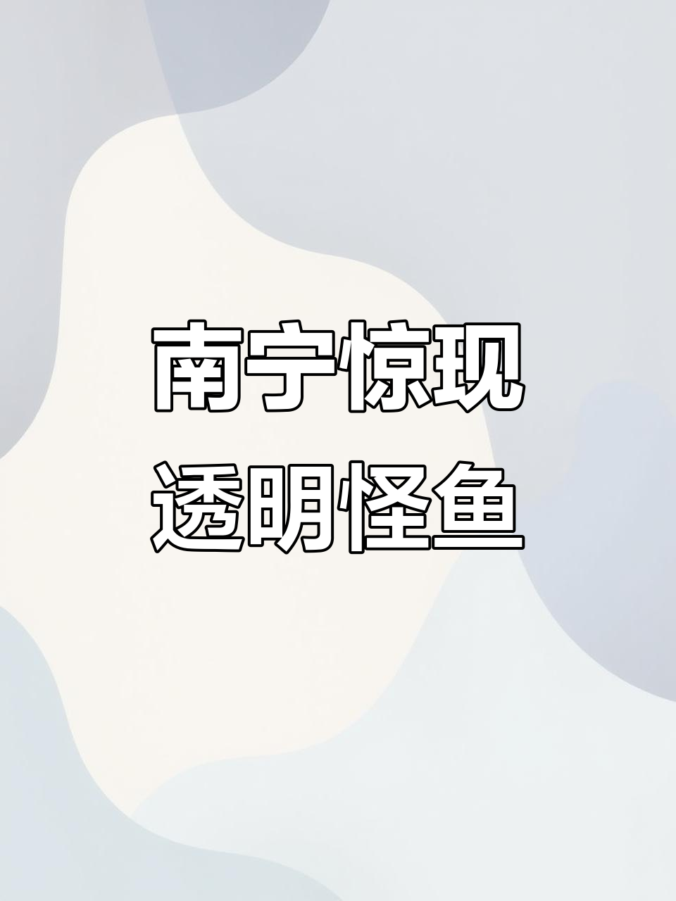 南宁市民发现“透明怪鱼”,网友热议像玻璃一样