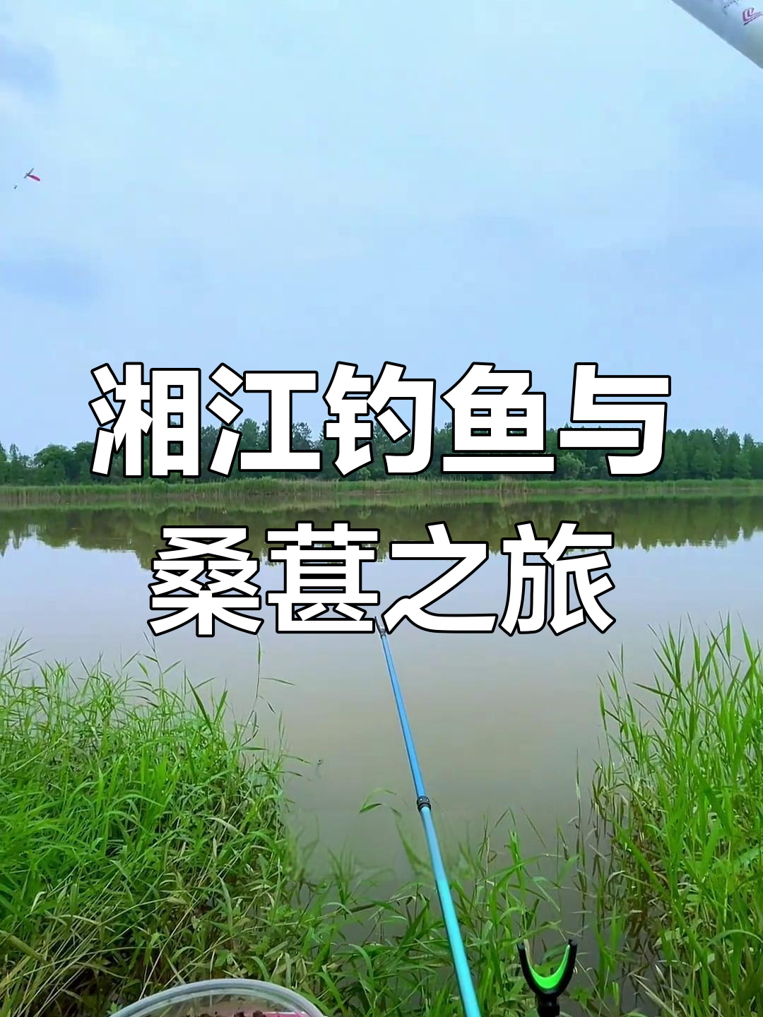 湘江鸭嘴翘挑战,急流浑水钓闷杆,意外发现桑葚!