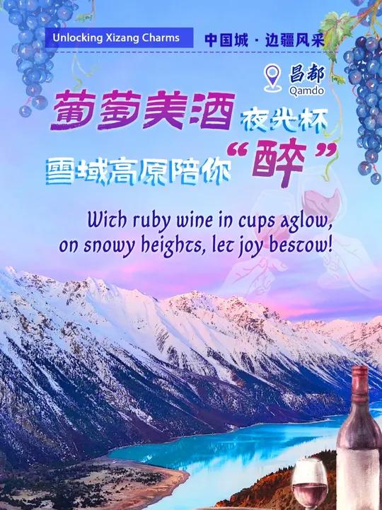 葡萄美酒夜光杯 雪域高原陪你“醉”