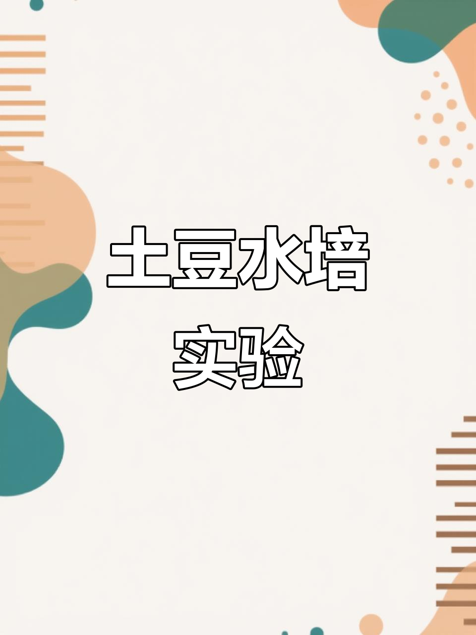 水培土豆,轻松发芽!挑战五十二种植物系列继续进行