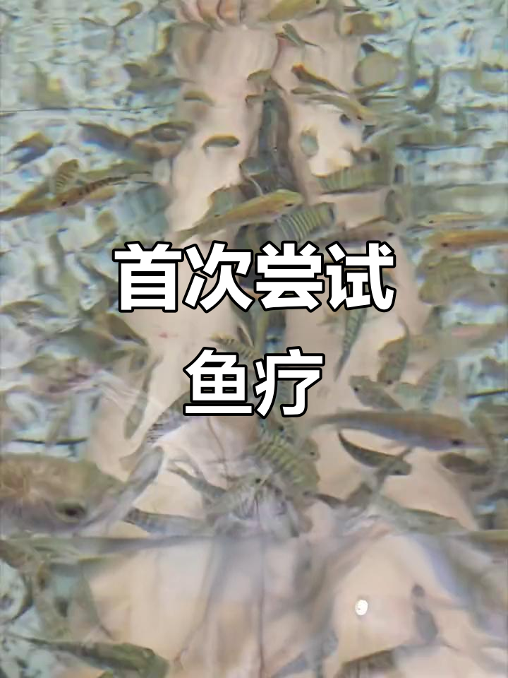 第一次体验鱼疗,竟然有点上瘾!