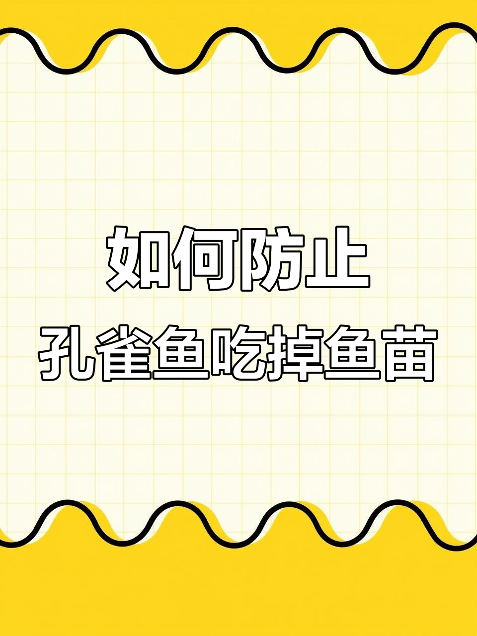 孔雀鱼如何避免吃小鱼苗?三种方法教你保护幼崽