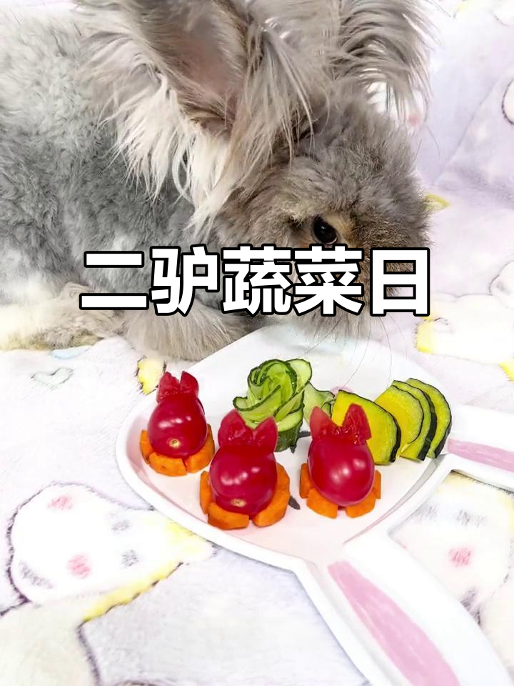 蔬菜大餐来啦!二驴的清爽南瓜胡萝卜黄瓜拼盘